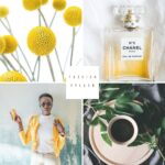 LANAR ontwerp interieur en styling Kantoor Kleurstyling